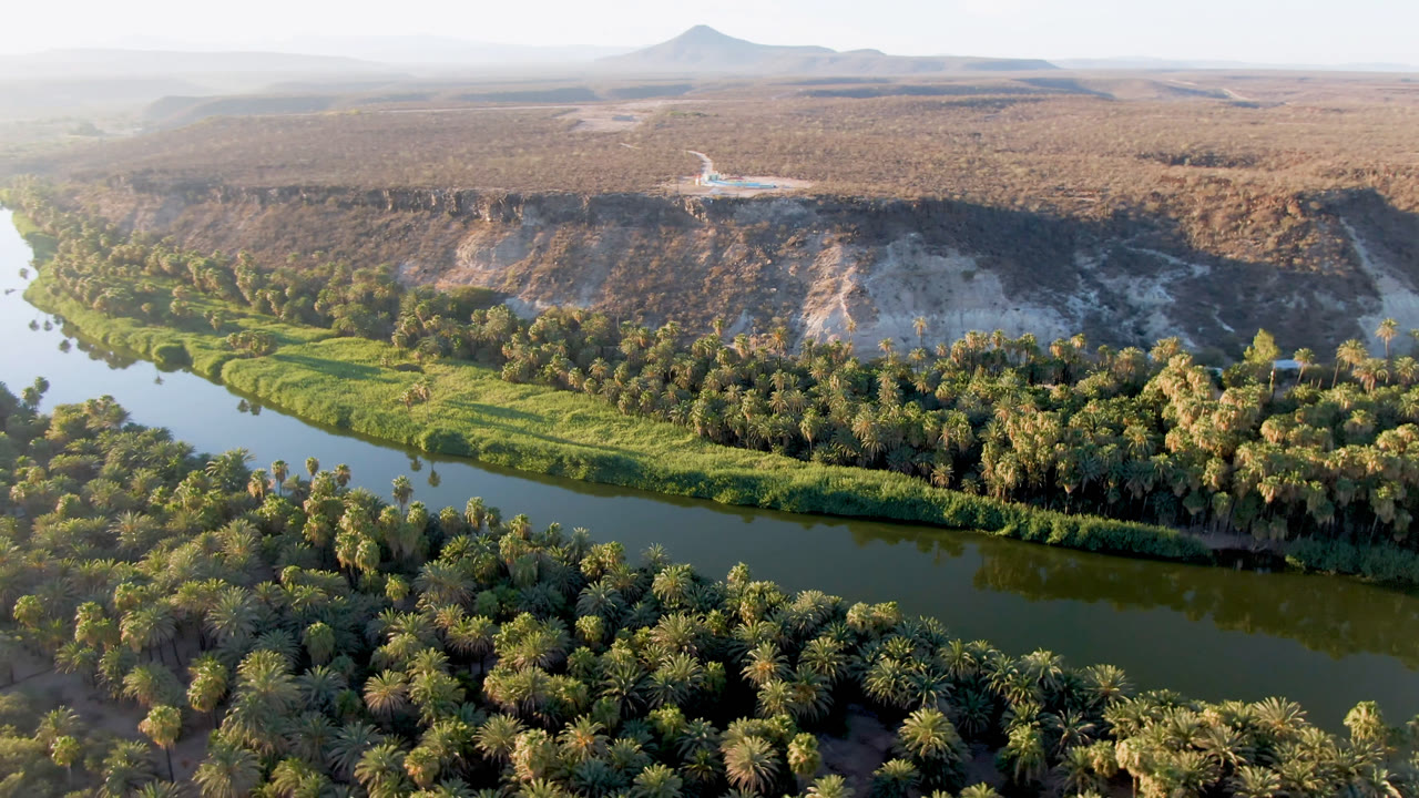 Aerial frame from San Ignacio showing palm canopy in the foreground, a reflective green river across the center, pale eroded hills behind it, and no visible people.