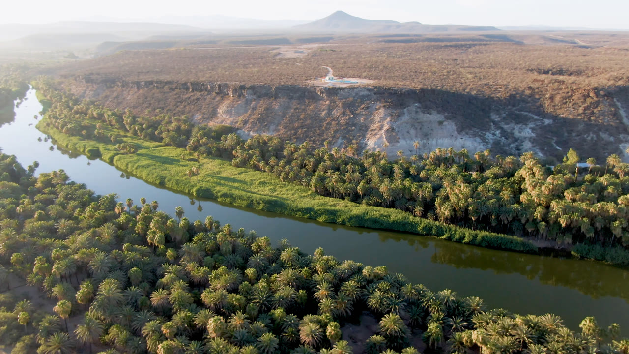 Wide drone view of a river bend through palms and reeds