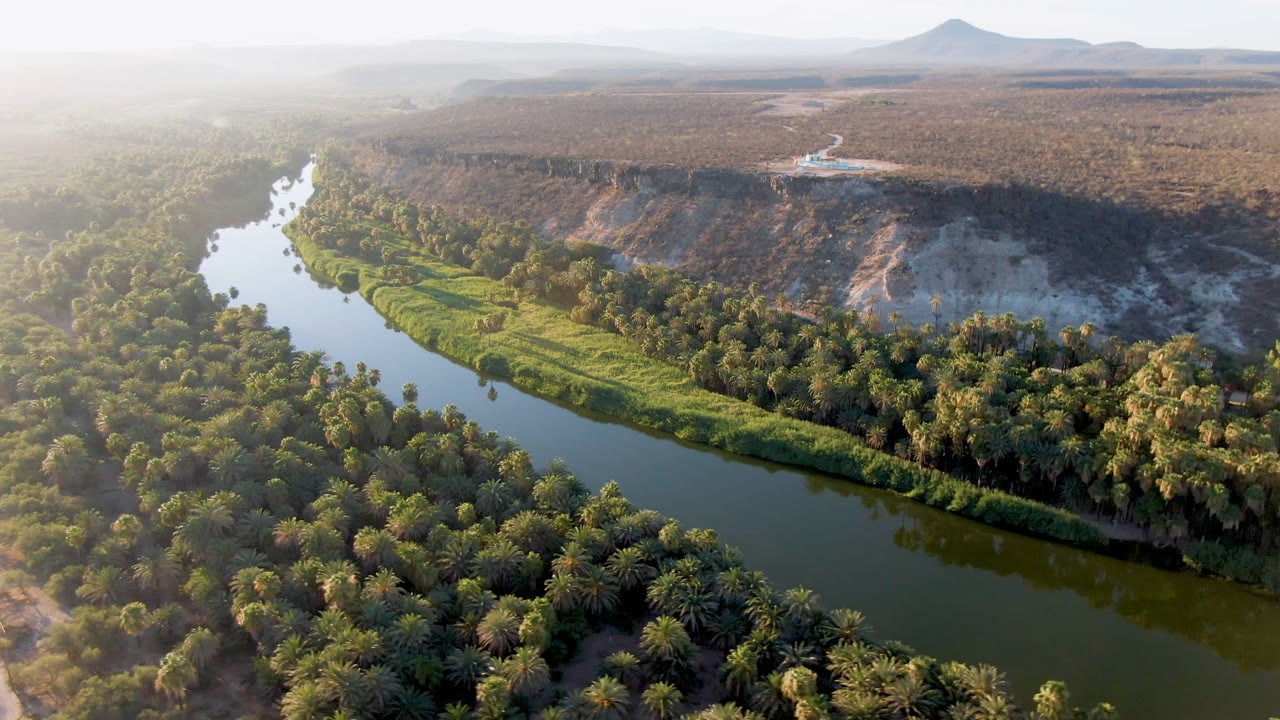 Aerial view in San Ignacio, Baja California Sur, Mexico, showing a green river bend, dense palm canopy, pale desert bluff, distant mountains, bright haze, and no visible people.