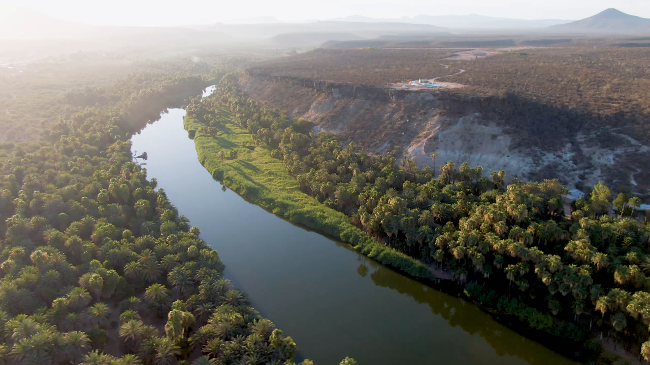 Aerial frame over San Ignacio with the river bend running along a bright green bank, palm canopy in the foreground, pale exposed cliffs beyond, and no visible people.