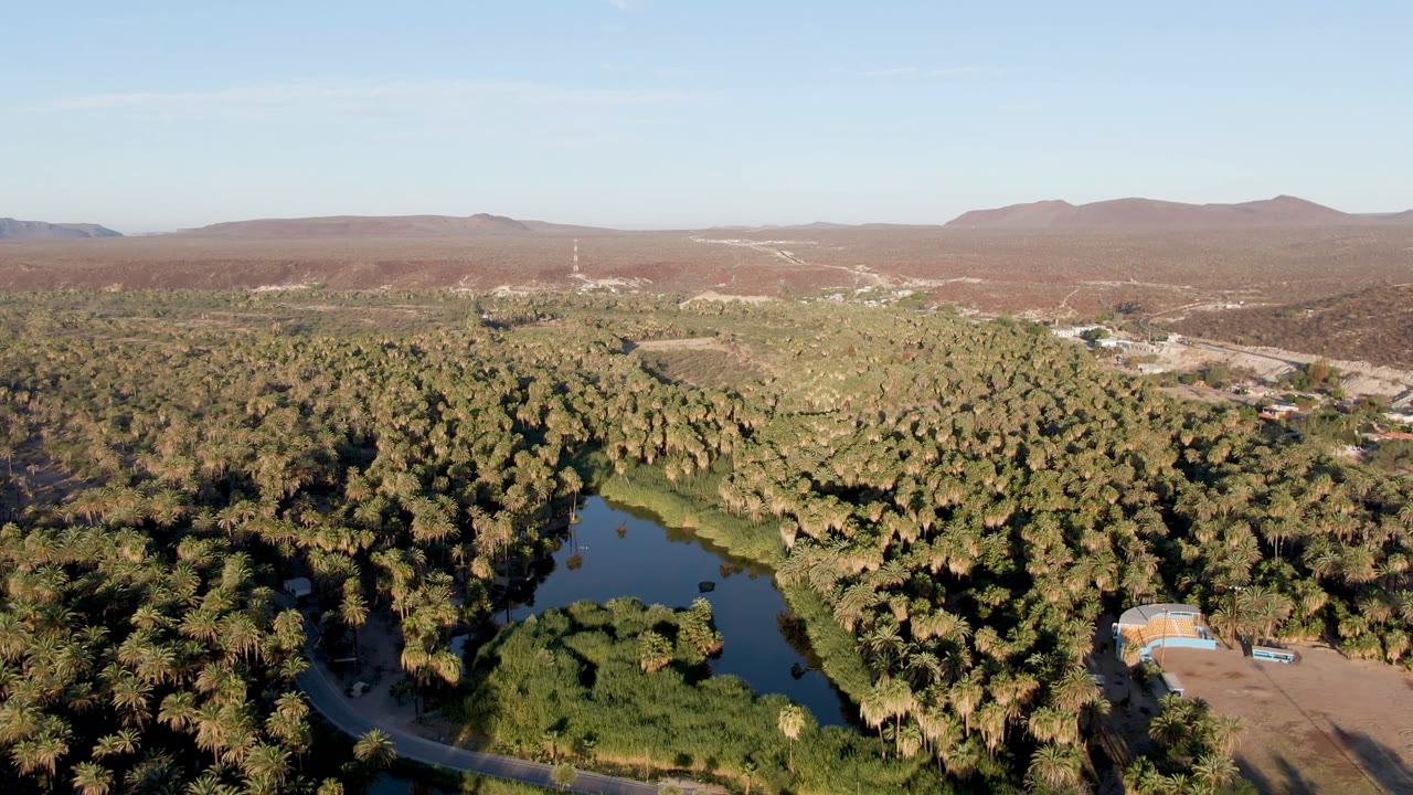 Aerial view over San Ignacio, Baja California Sur, with a green river bend at lower left, dense palm canopy across the center, reddish desert hills beyond, and no visible people.