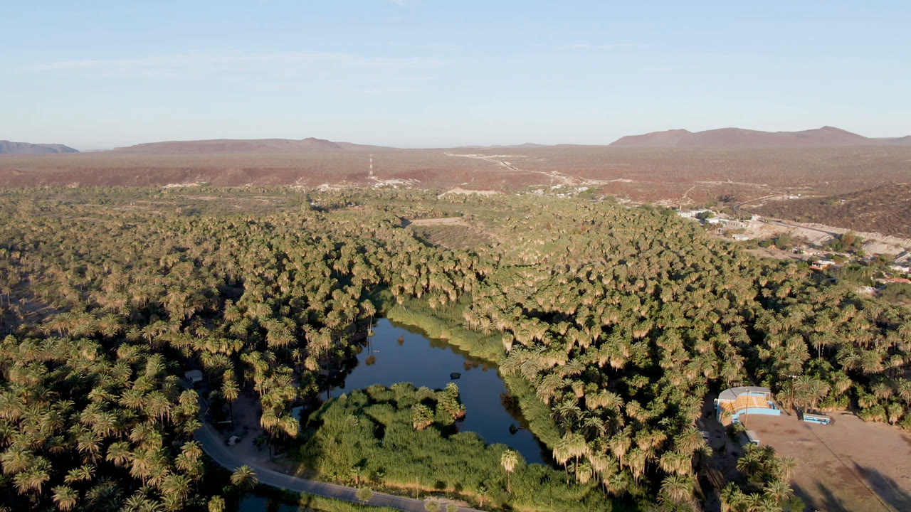 Wide aerial over San Ignacio showing river water tucked beside palms, a road crossing the lower frame, cleared ground near small structures, distant arid hills, and no visible people.