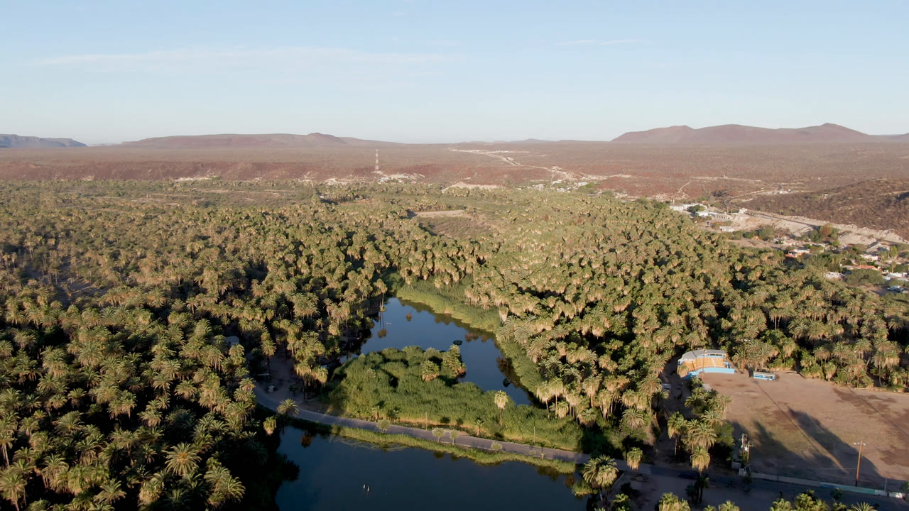 Aerial view of dark water, palm forest, desert hills, and blue sky.