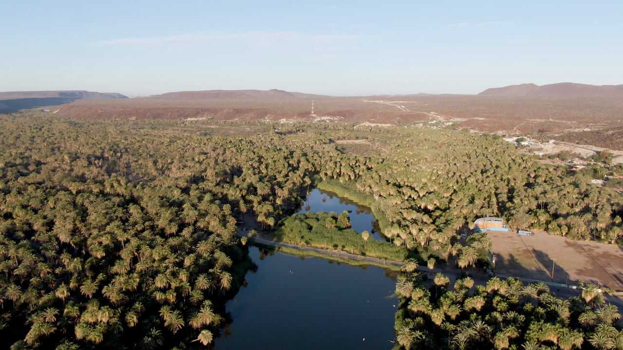 Aerial frame over San Ignacio, Baja California Sur showing dark water in the foreground, dense palm trees around the shore, reddish hills beyond, and no visible people.