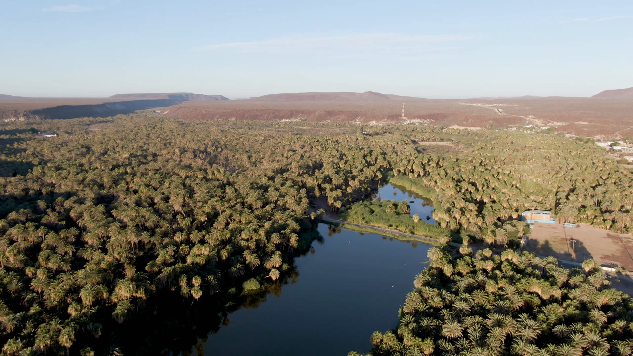 Opening aerial frame over San Ignacio, Baja California Sur, showing dark water in the lower left, dense palms across the center, brown mountains on the horizon, and no visible people.