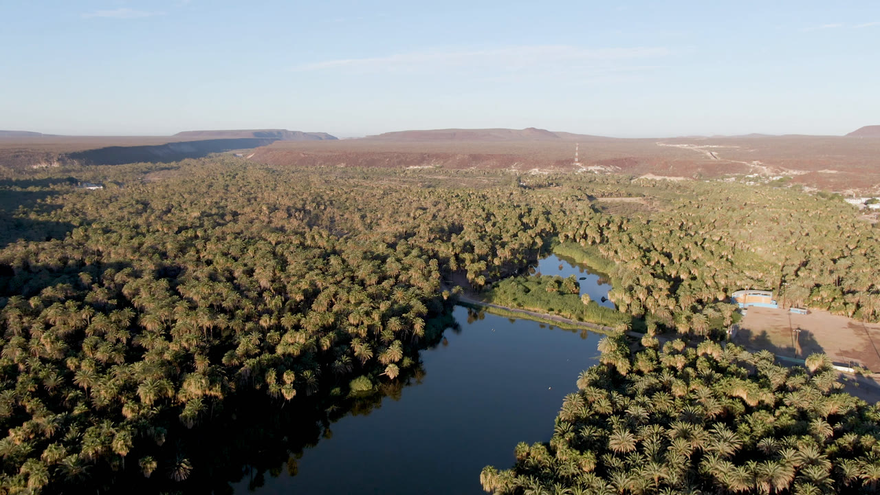 Aerial frame over San Ignacio with the reflective water shifted toward the lower center, a thick palm canopy, pale dirt clearings at right, distant mountains, and no visible people.