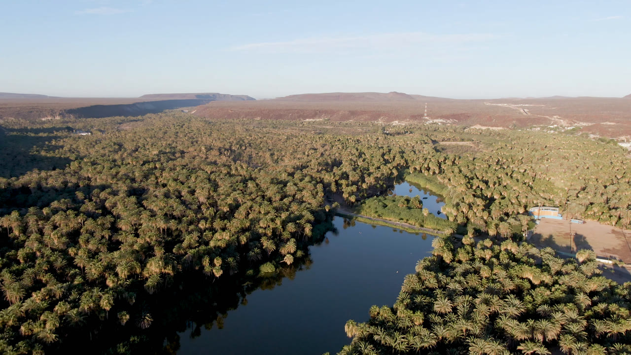 Wide drone view of water, palms, and a desert ridge under clear sky.