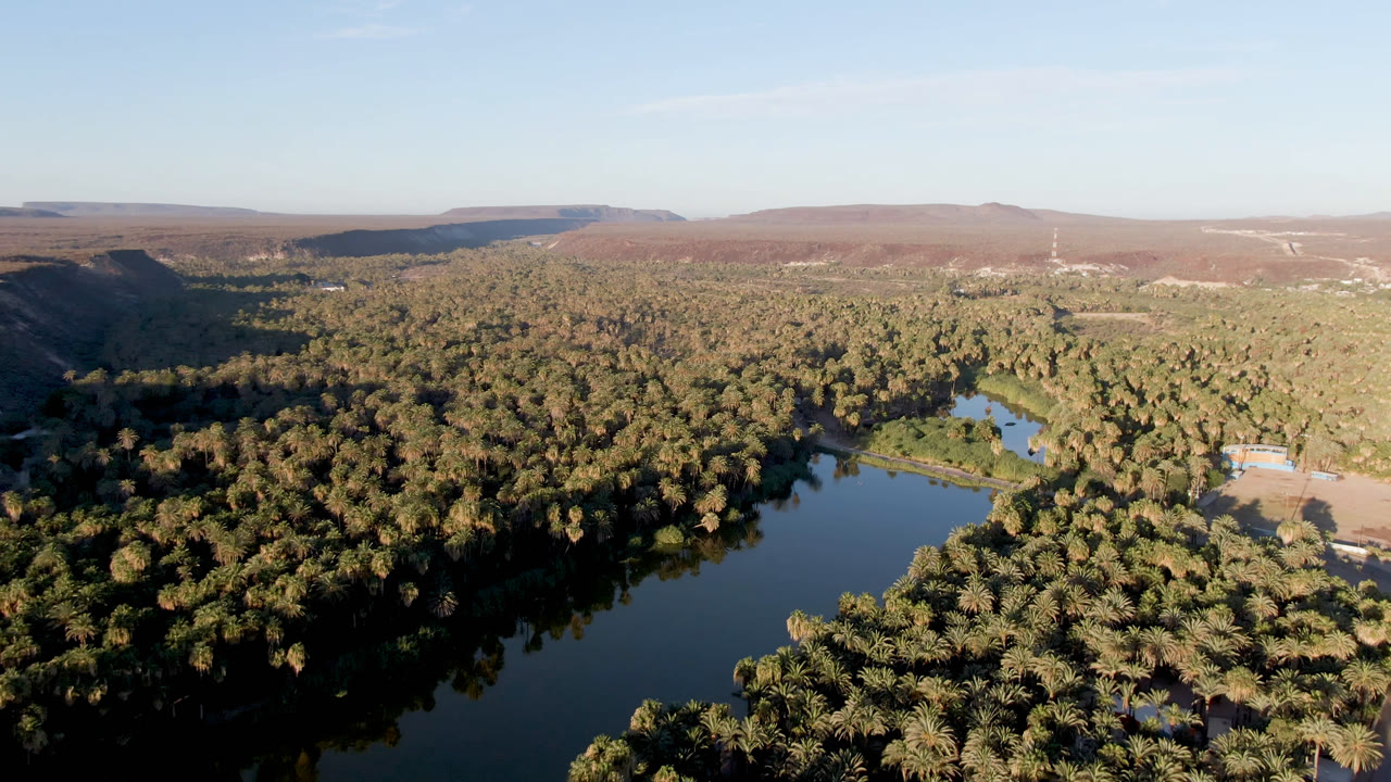 Aerial view of a river bordered by dense palms and dry hills.