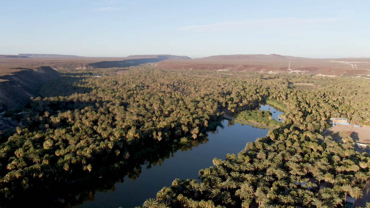 Aerial frame over San Ignacio showing the dark river curving through dense green palms, a pale clearing near the right bank, distant dry hills, and no visible people.