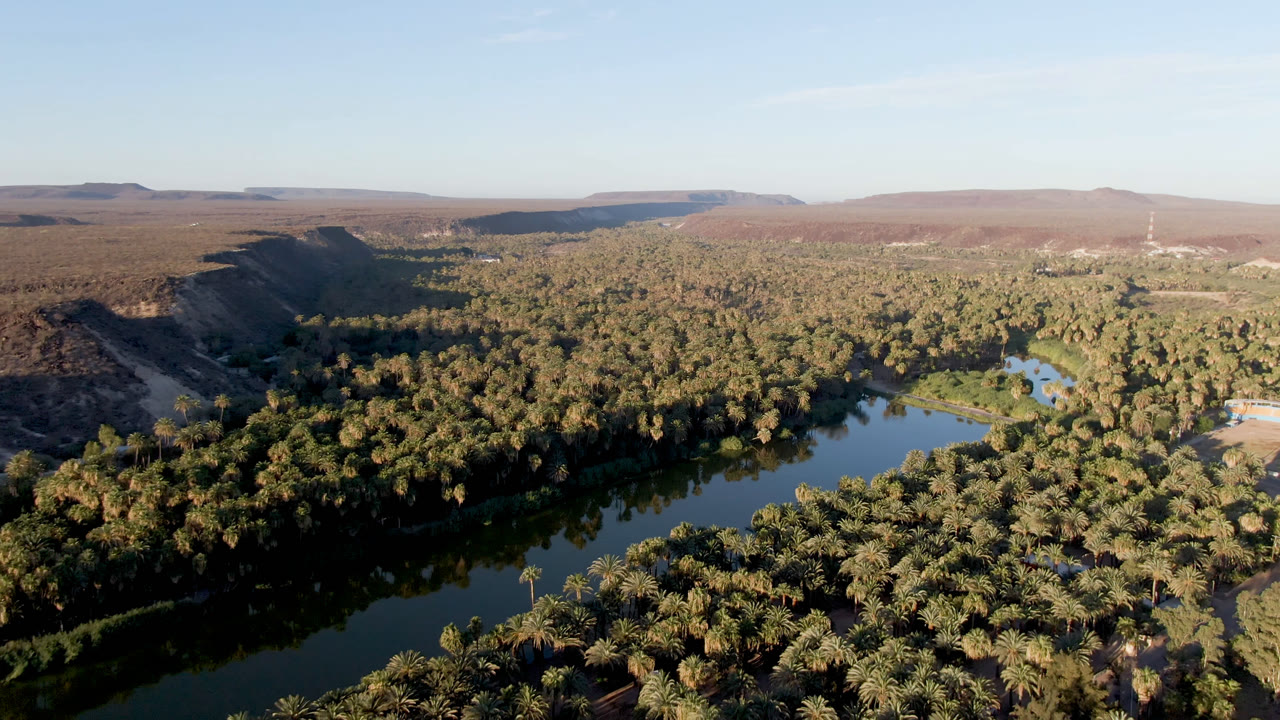 Aerial frame over San Ignacio, Baja California Sur, with a dark river curving through dense palm canopy, dry hills beyond, clear sky above, and no visible people.