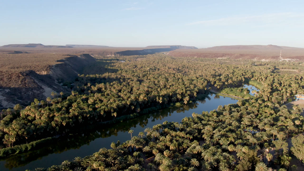 Wide aerial view in San Ignacio, Baja California Sur, showing palm forest across the valley floor, a reflective water channel, brown ridges, distant flat-topped hills, and no visible people.