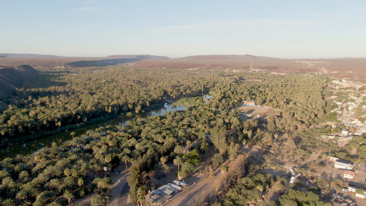 Wide aerial frame over San Ignacio, Baja California Sur, with palms, a dark river channel, scattered buildings, low hills, pale sky, and no visible people.