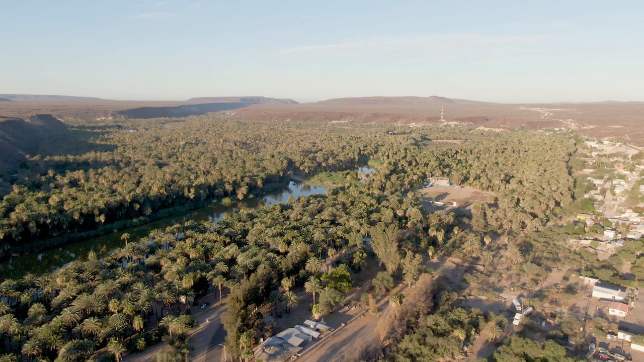 A second aerial moment over San Ignacio shows the river cutting through dense palms, with small buildings to the right, hills beyond, and no visible people.