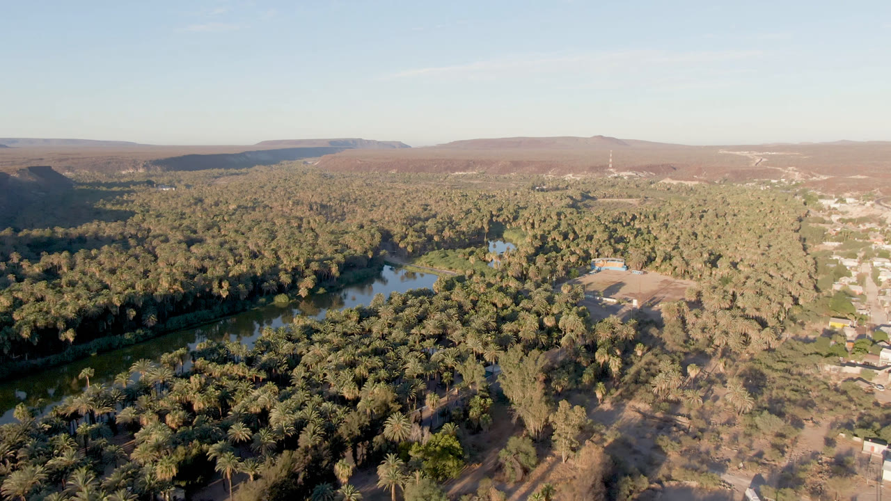 Wide aerial frame over San Ignacio, Baja California Sur, Mexico, showing a curving waterway bordered by dense palms and trees, dry hills on the horizon, and no visible people.