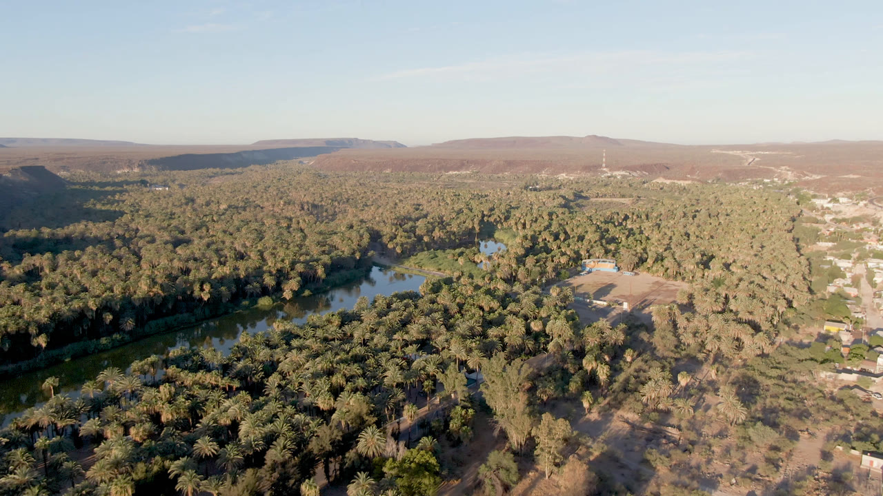 Aerial view in San Ignacio with the waterway running left of center, a thick canopy of palms below, scattered structures near clearings, dry hills, and no visible people.