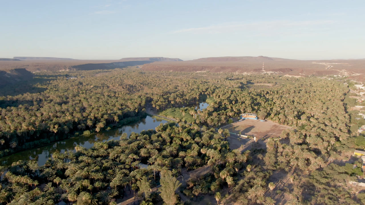 Aerial view of palm forest, river, small building, and desert hills.