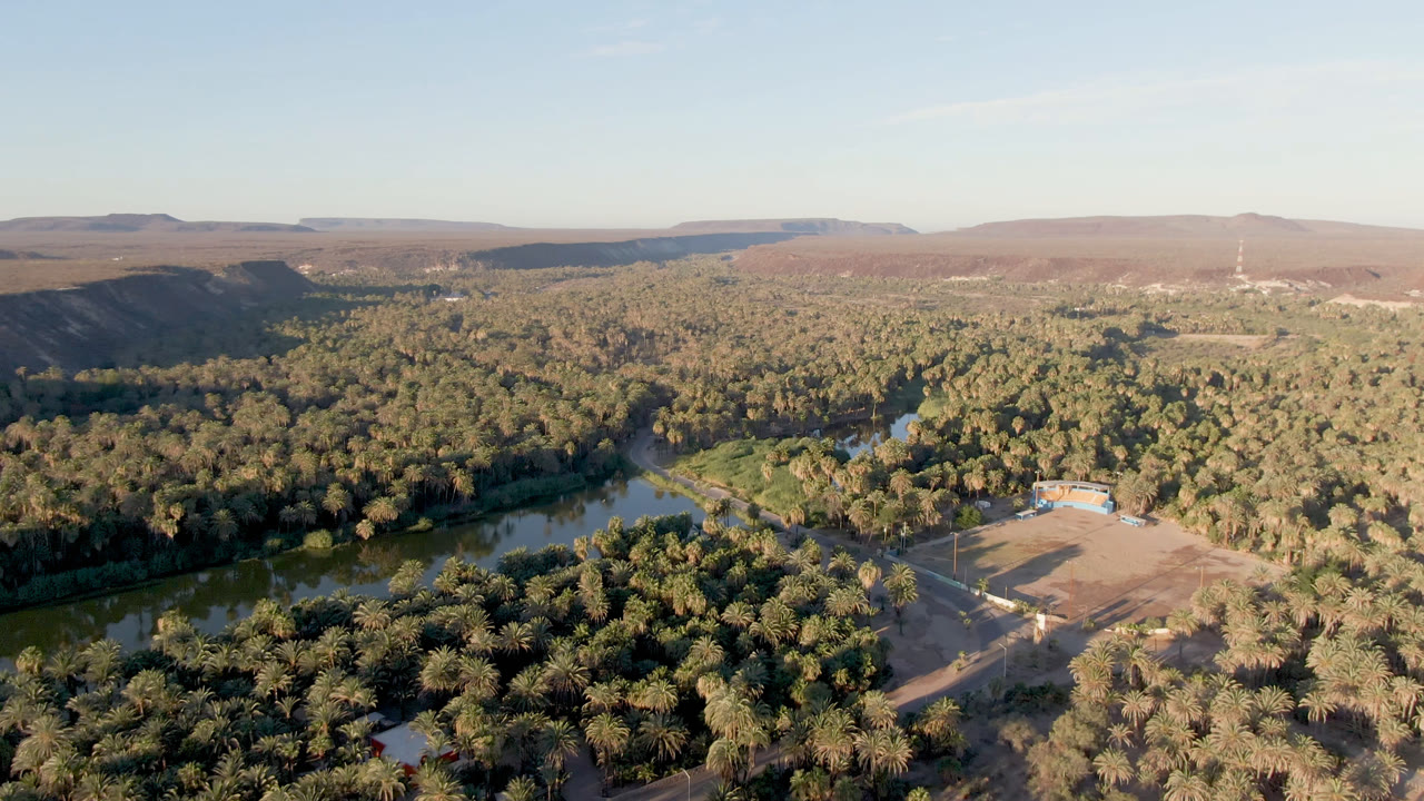 Aerial view over San Ignacio, Baja California Sur, with a winding river at left, dense palms below, a dusty open field near a small structure, distant hills, and no visible people.