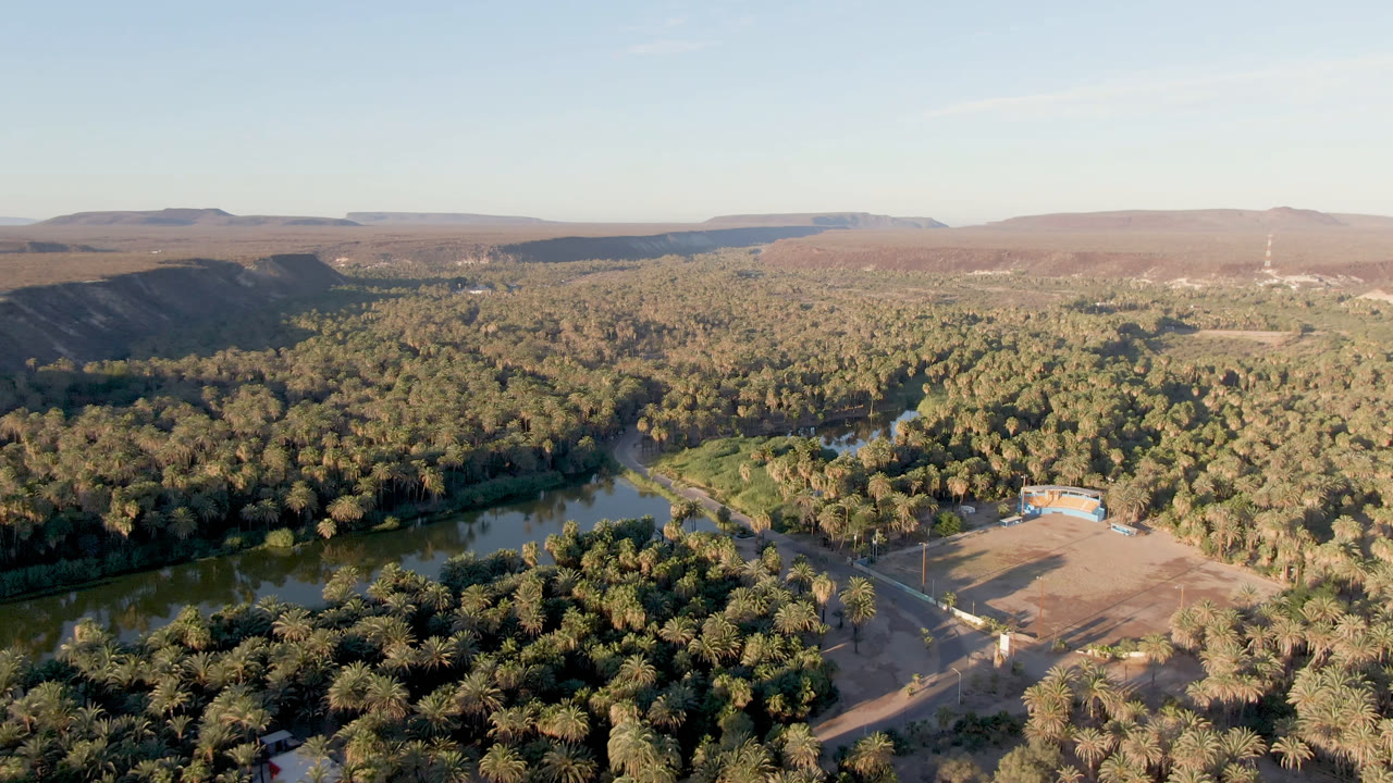 Sunlit aerial landscape with river water, palm canopy, field, and hills.