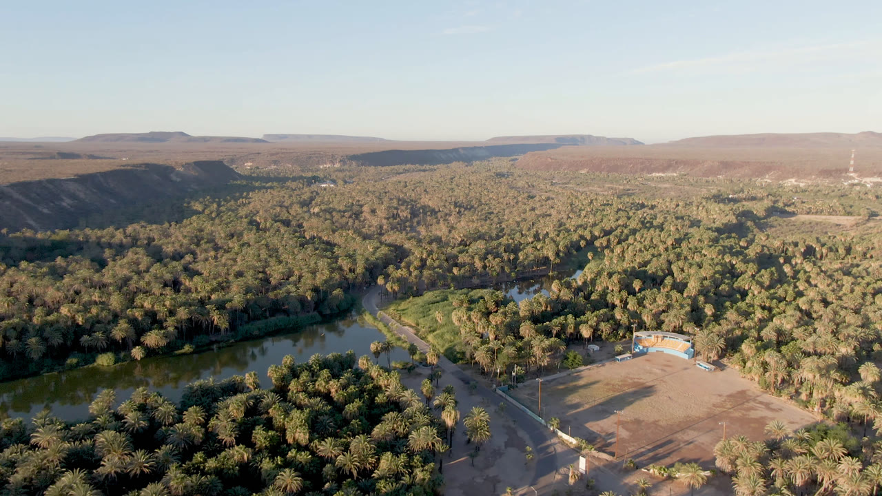 Wide aerial view over San Ignacio, Baja California Sur, with palm-filled greenery around water, a road and sandy lot below, dry hills on the horizon, and no visible people.