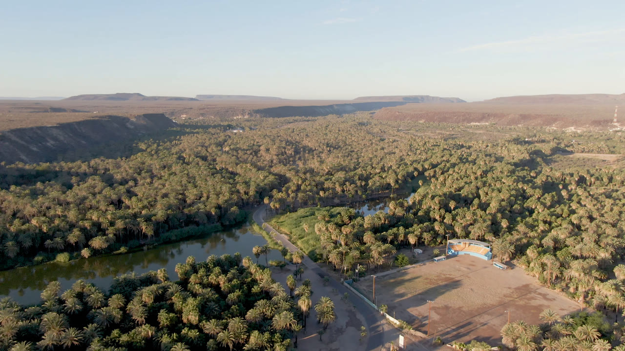 Aerial frame in San Ignacio, Baja California Sur, looking across dense palms, green water at lower left, a small structure near an open lot, distant dry hills, and no visible people.