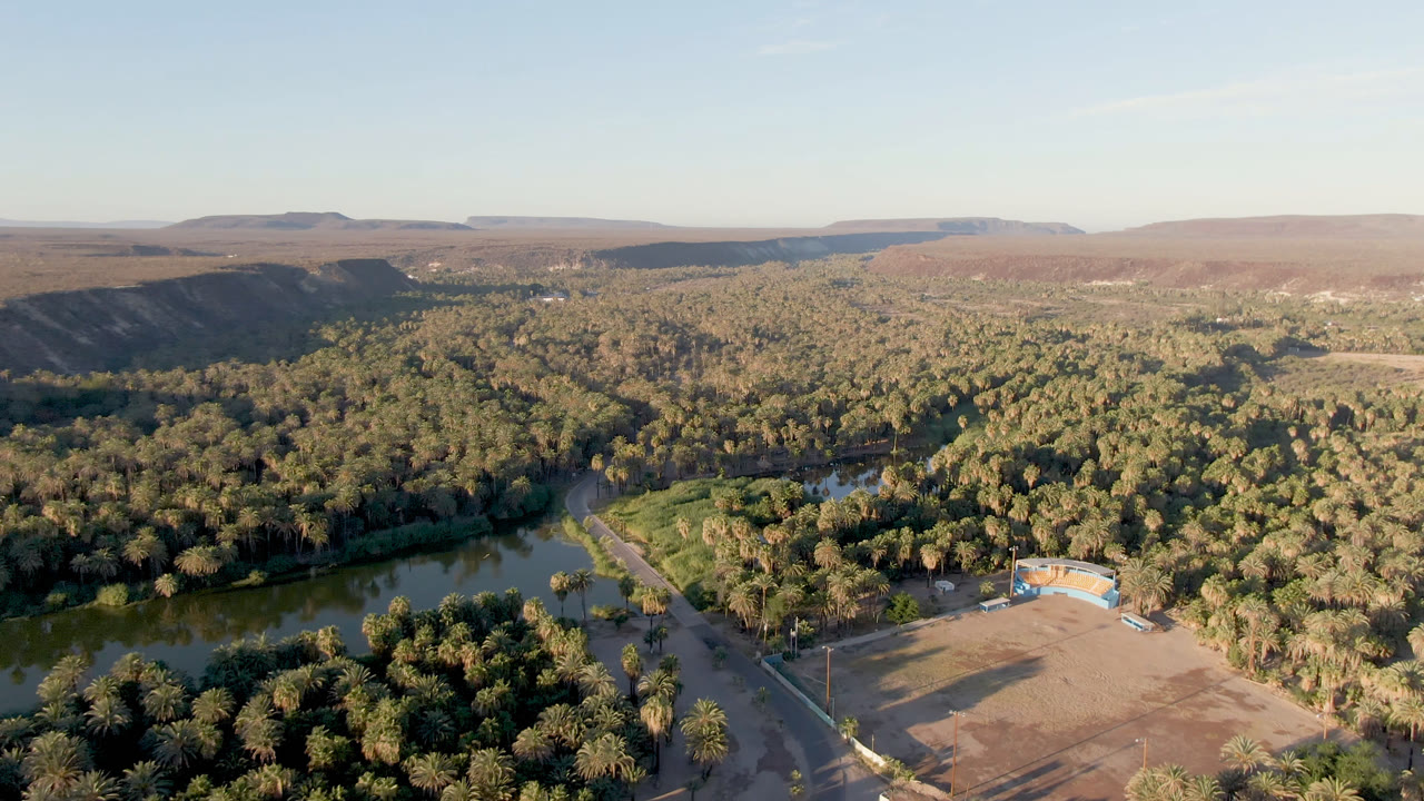 High aerial landscape of water, palms, roads, and hills