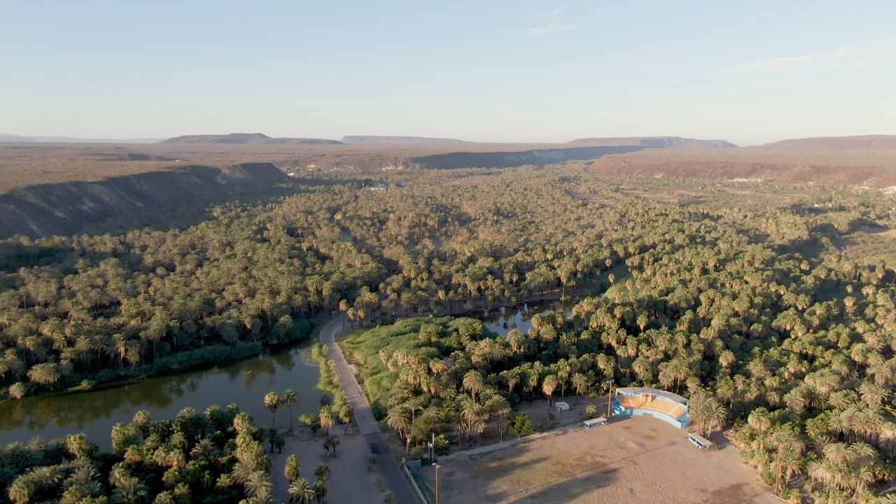 Wide drone view over San Ignacio, Baja California Sur, showing a green river, a road through palms, dense trees, distant desert mesas, and no visible people.
