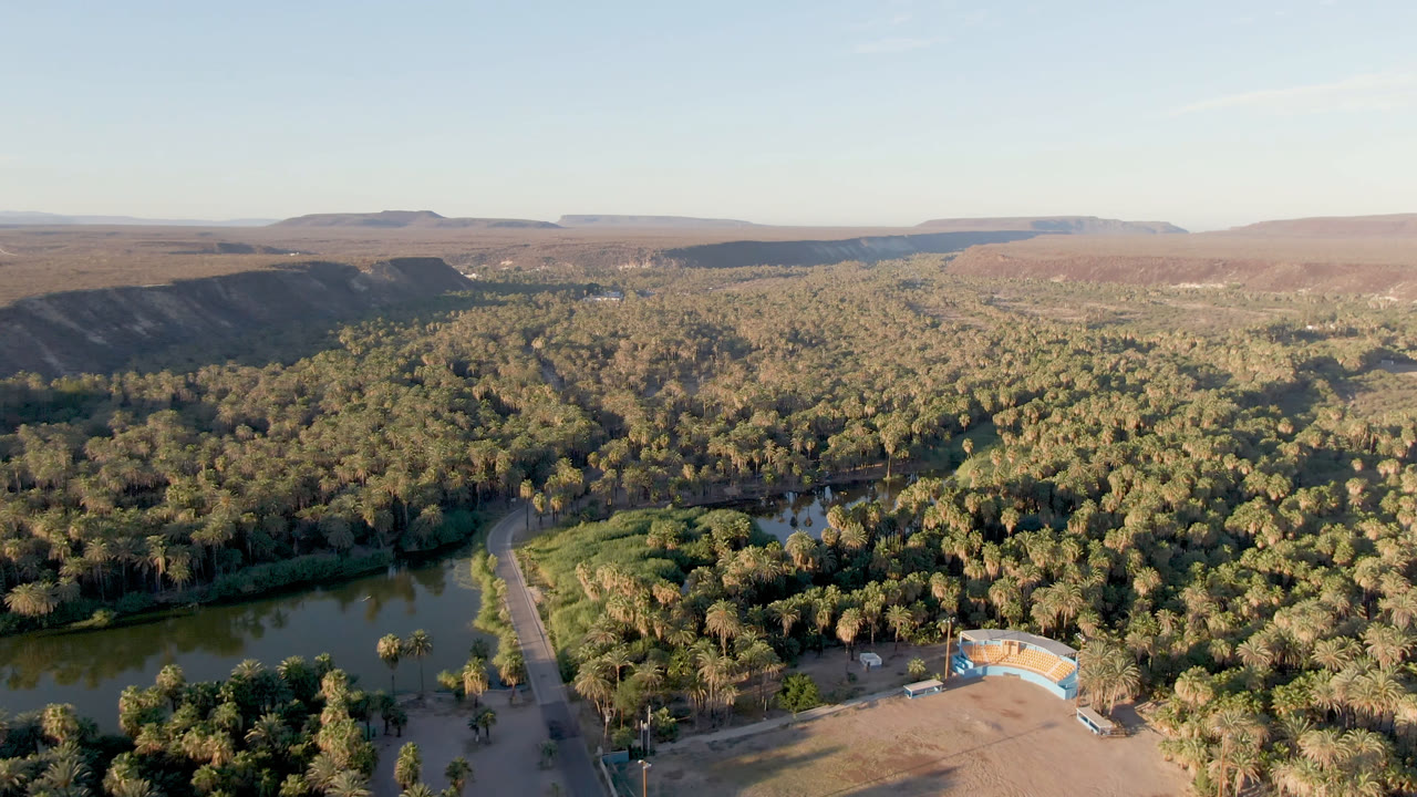 A high aerial frame over San Ignacio shows the road and water lower in the image, a broad palm-filled valley, dry mesas beyond, and no visible people.