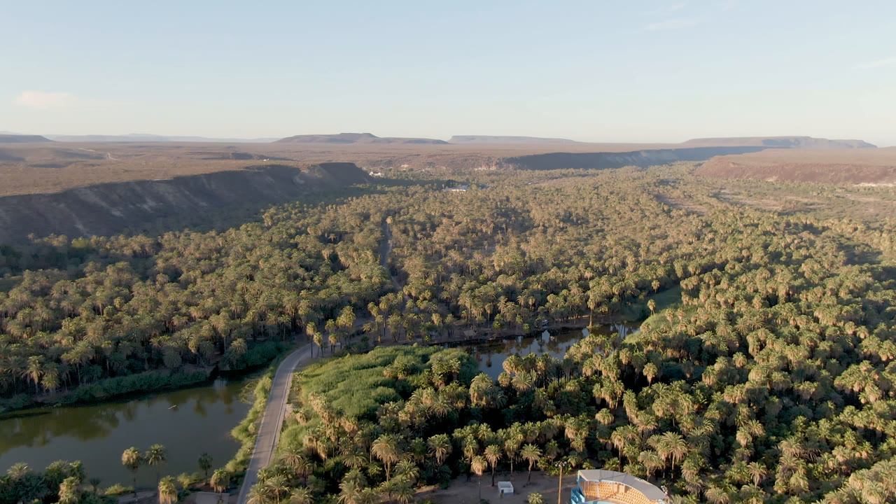 Opening aerial frame over San Ignacio, Baja California Sur, with green river water at lower left, dense palms across the valley, tan mesas on the horizon, and no visible people.