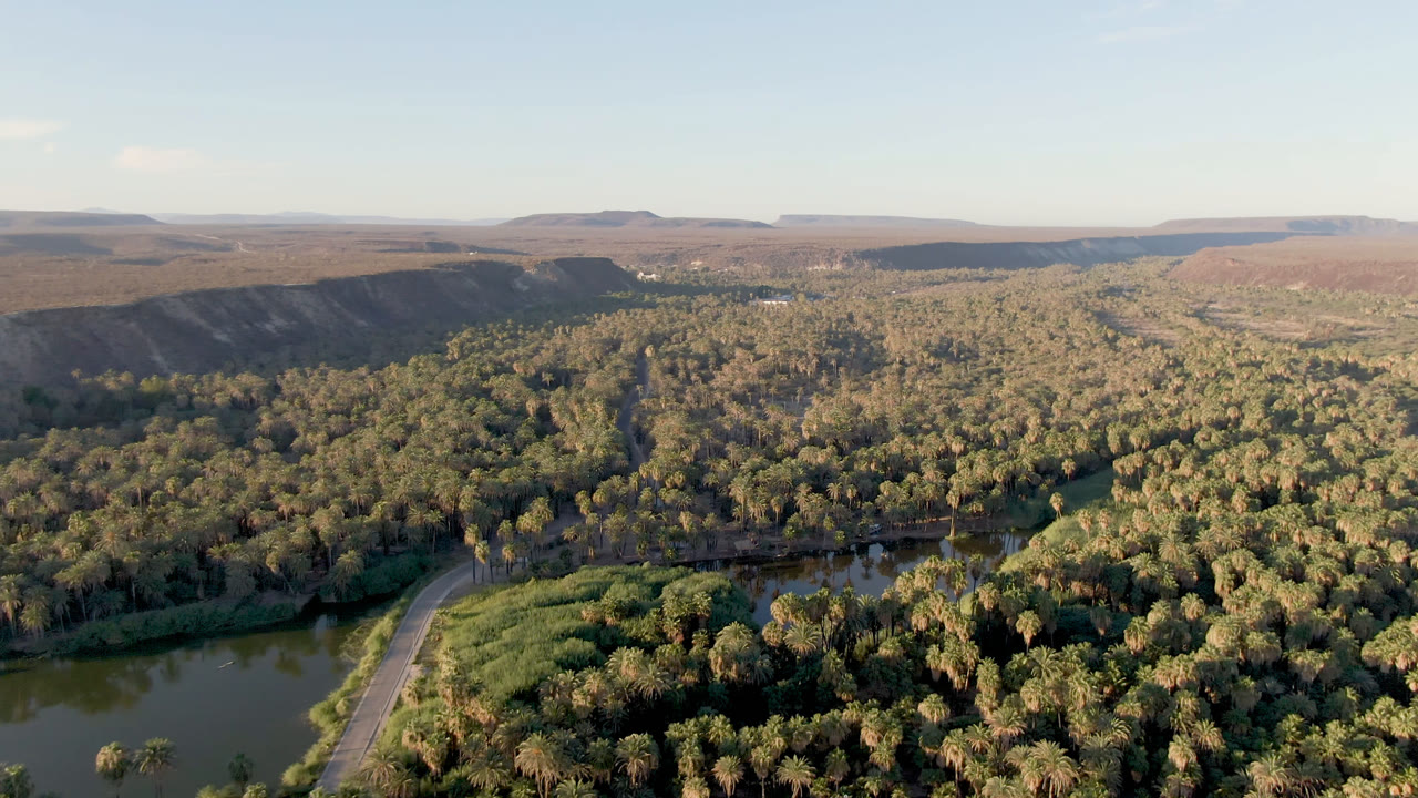 Aerial view across palms and river toward flat desert ridges