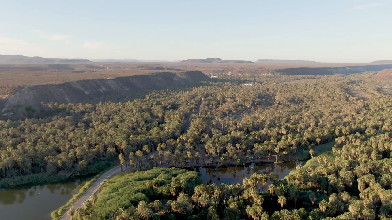 Wide aerial frame over San Ignacio, Baja California Sur, with dark river water in the foreground, dense palms and trees across the center, desert mesas on the horizon, and no visible people.