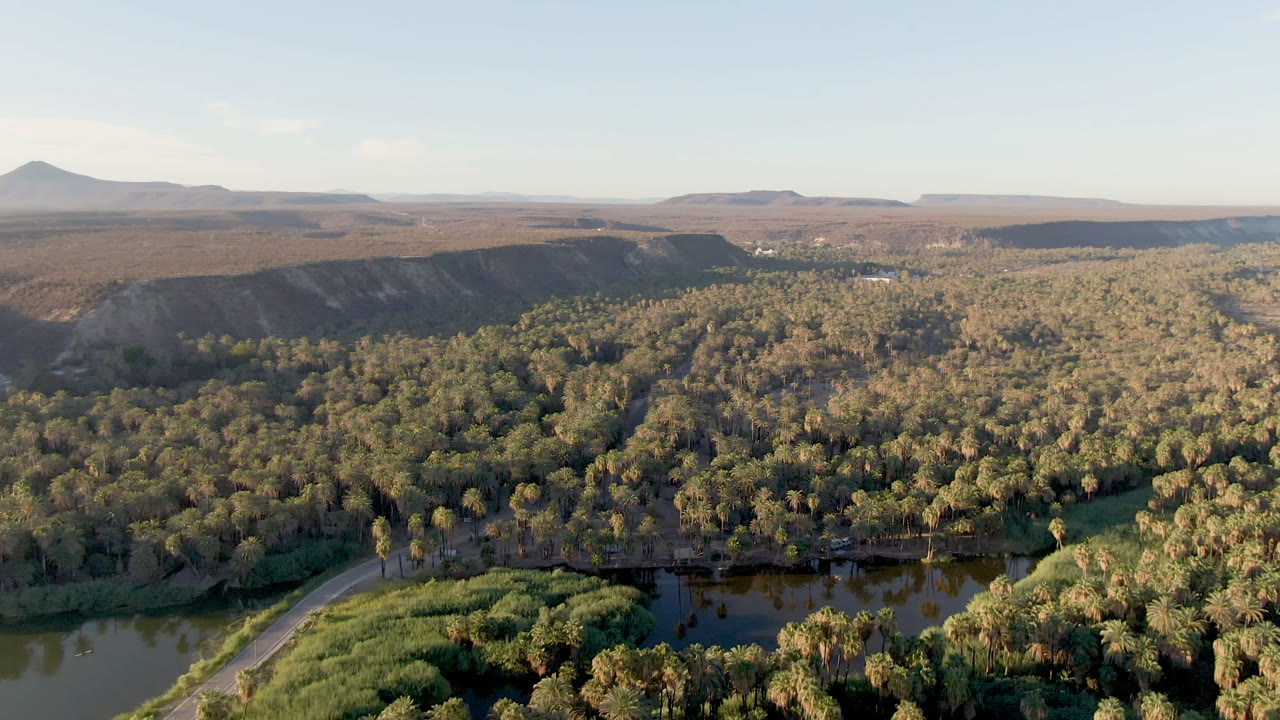 Drone view of a river bend, dense palms, desert cliffs, and distant mesas.