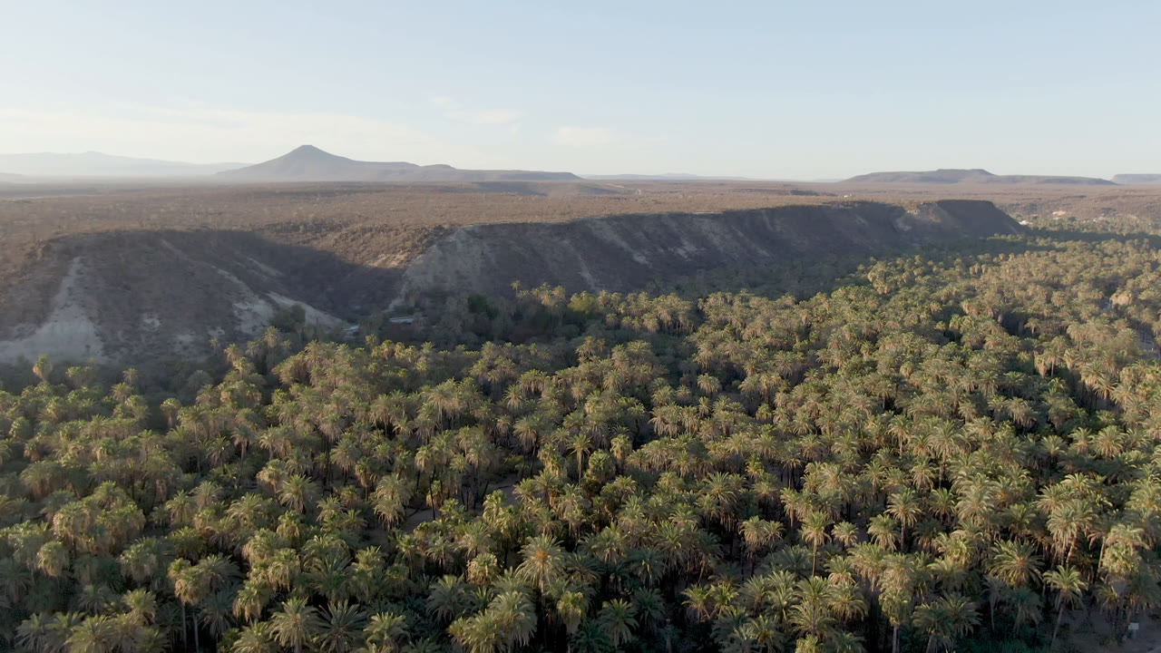 Wide aerial view over San Ignacio, Baja California Sur with a palm forest below, a road curving at the lower right edge, dry ridges beyond, and no visible people.