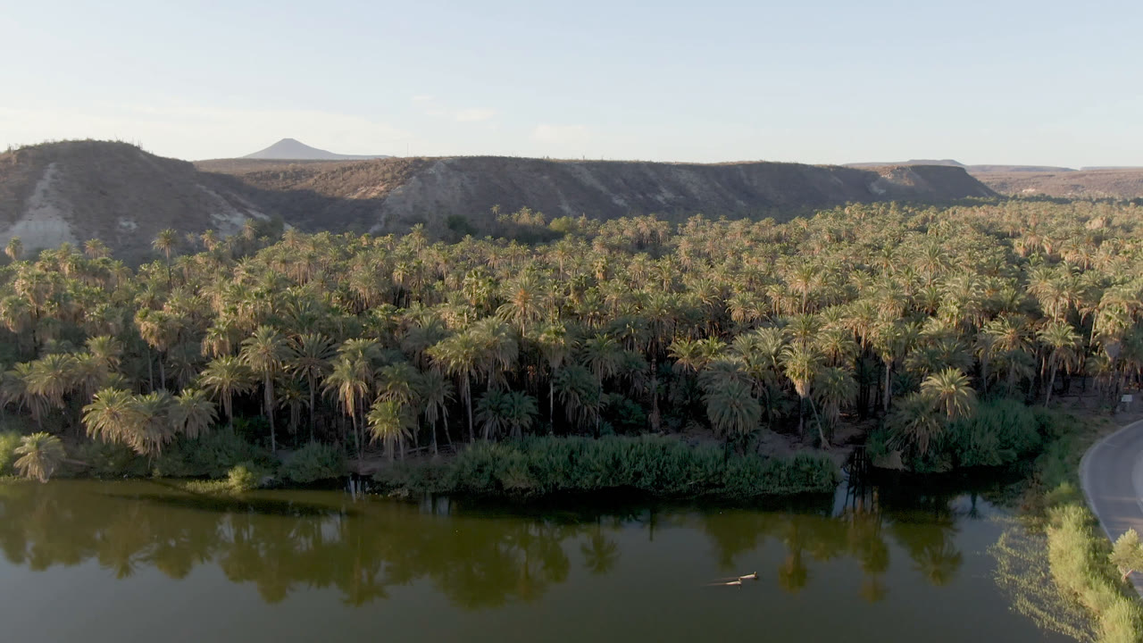 Second frame of the San Ignacio oasis view with the palm canopy centered above still green water, the road partly visible on the right edge, dry hills in back, and no visible people.