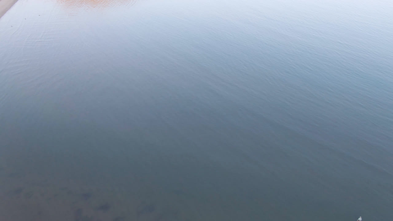 High aerial view over Danzante Bay water with subtle ripples, a warm shoreline sliver at the top edge, a tiny white boat near the lower edge, and no visible people.