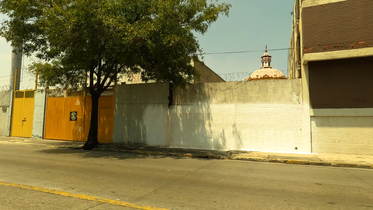 Mexico City roadway with a yellow metal gate, a large tree casting shade, white walls, nearby buildings, overhead wires, and no visible people.