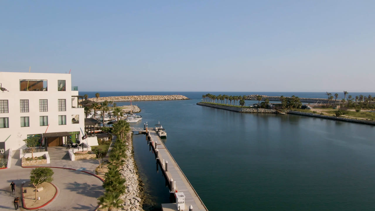 Aerial view of harbor water, docks, boats, palms, and a white waterfront building.