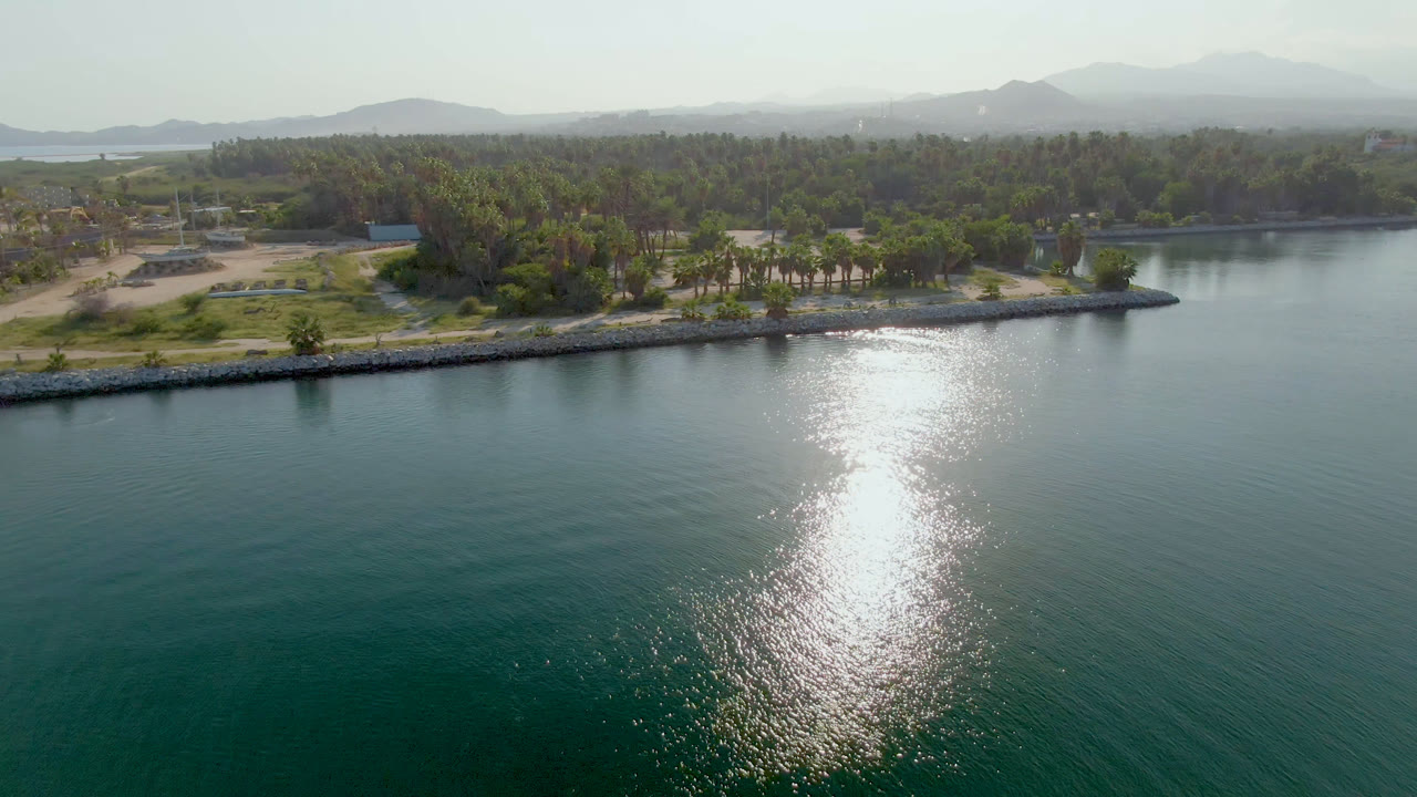 Aerial frame over green-blue water in Puerto Los Cabos with a bright sun reflection, a palm-lined shore, distant hills, pale sky, and no visible people.