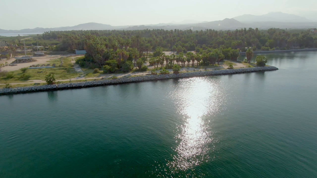 Wide aerial shoreline view with calm water, bright glare, palms, and low hills.