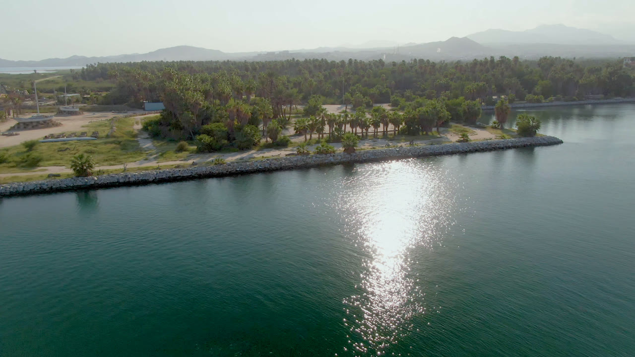 Opening aerial frame over green-blue water in Puerto Los Cabos, with a bright sun reflection, rock-lined shore, palm trees, low buildings, hazy mountains, and no visible people.