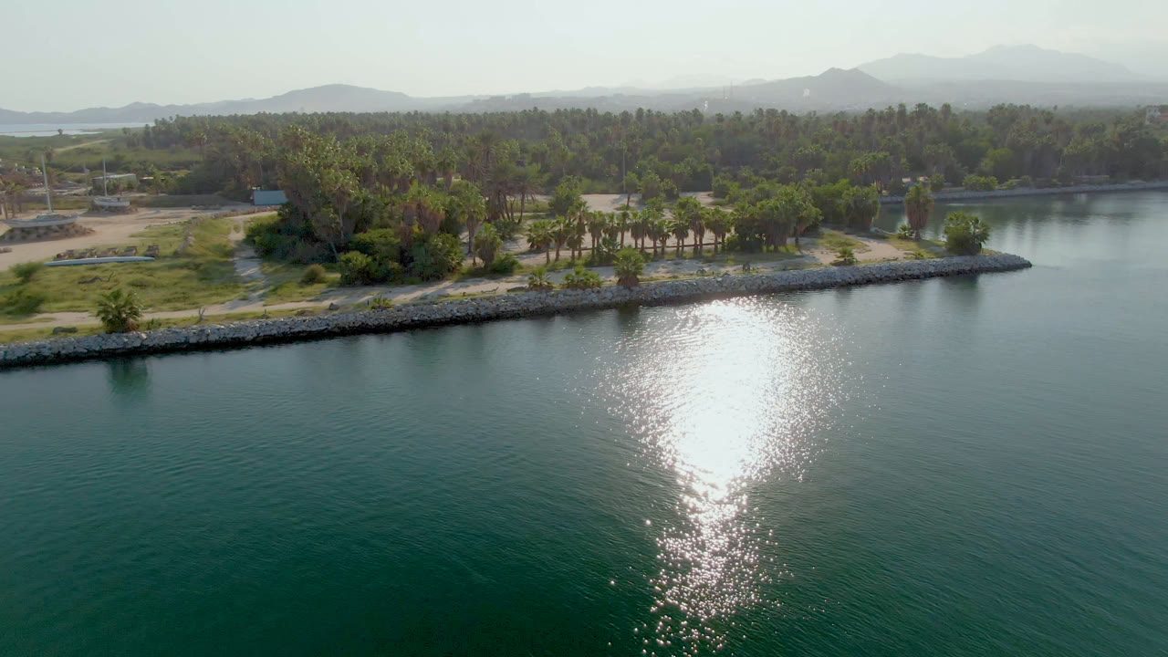 Drone-height view of reflective water, curved shoreline, palms, and distant mountains.