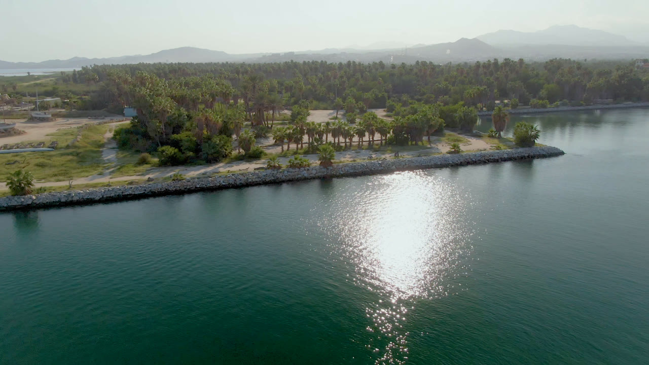 Opening aerial frame over Puerto Los Cabos water with a bright sun reflection in the foreground, a rocky palm-lined shoreline, distant hazy hills, and no visible people.