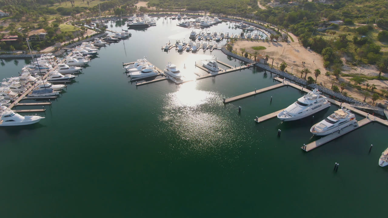 Aerial frame over Puerto Los Cabos marina showing white boats along docks, dark green foreground water, shoreline trees, and no visible people.