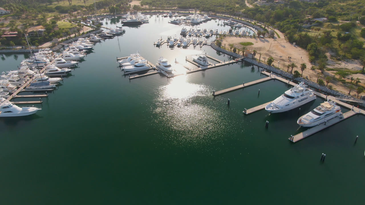 High aerial marina view with rows of boats and tree-lined shore