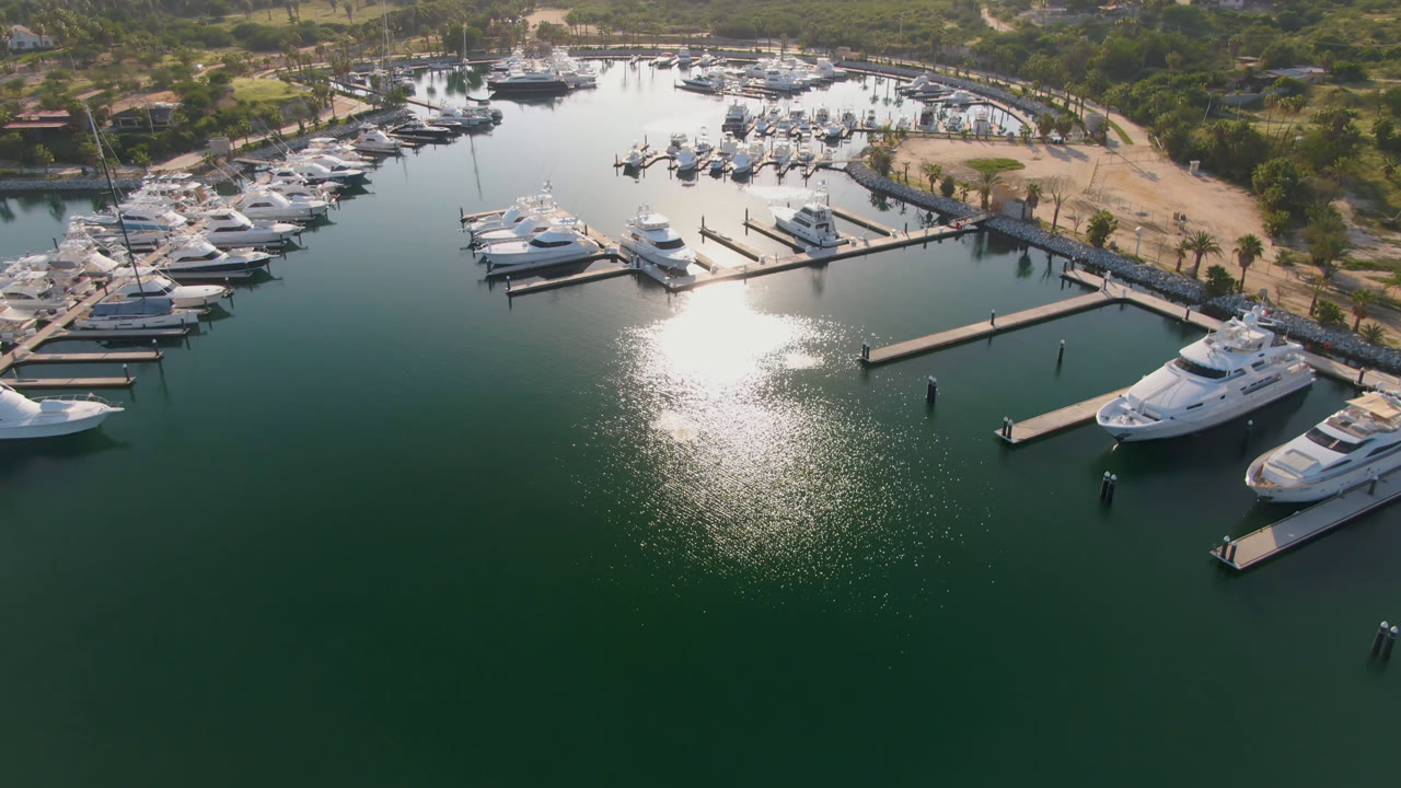Aerial frame over Puerto Los Cabos marina showing green water, white yachts at docks, bright sun reflection, shoreline trees, and no visible people.