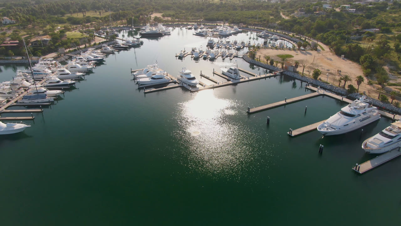 Aerial marina scene with docks, boats, shoreline, and trees