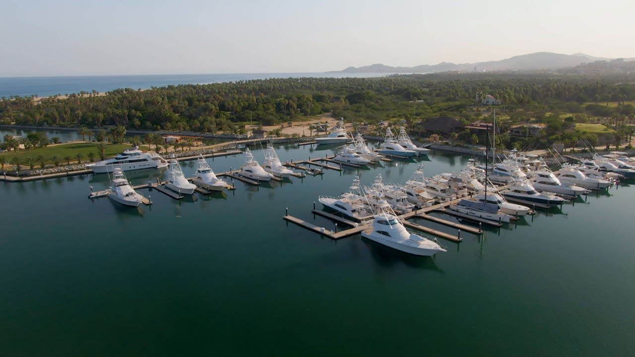 Aerial view of Puerto Los Cabos with rows of docked boats centered in the marina, open water below, palm-lined land behind, and no visible people.