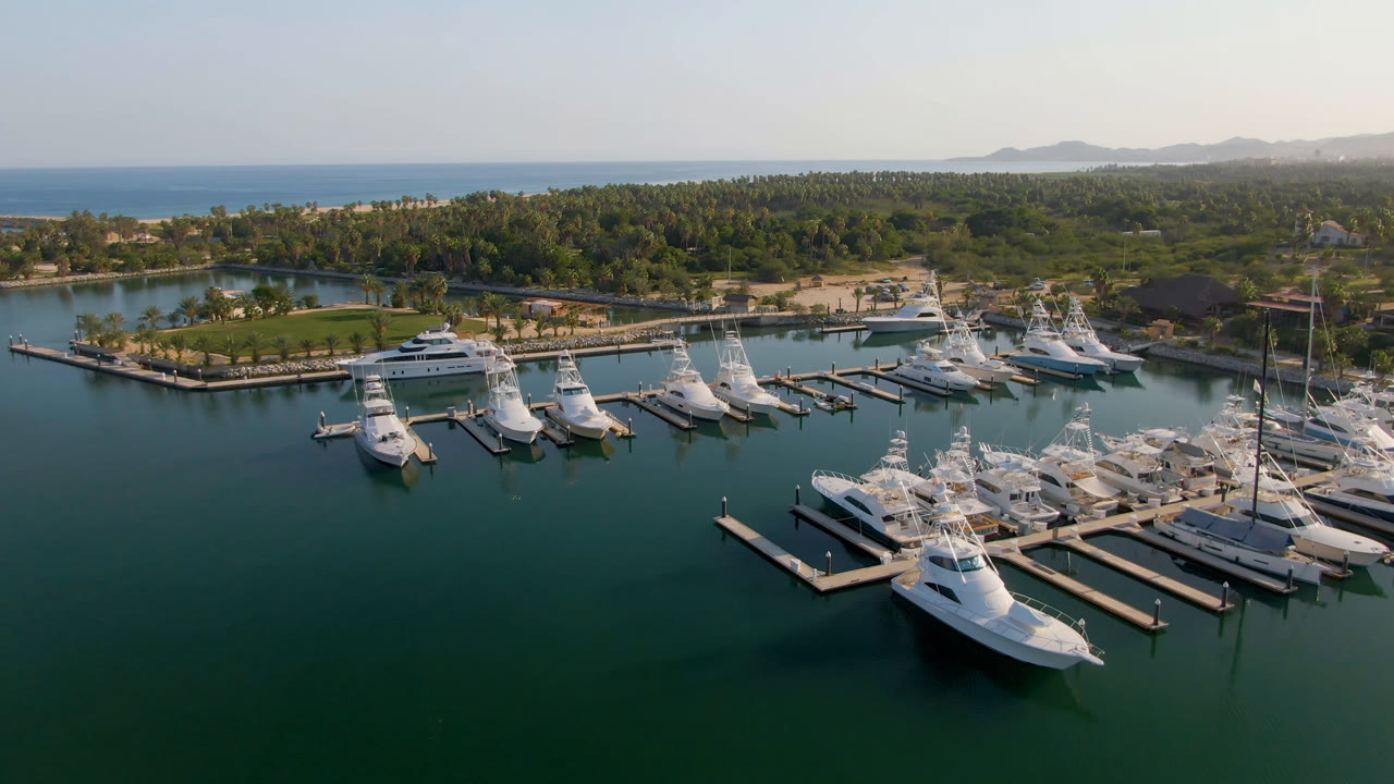 Aerial frame over Puerto Los Cabos marina with white boats at docks, dark green foreground water, a palm-lined shore, distant ocean, and no visible people.