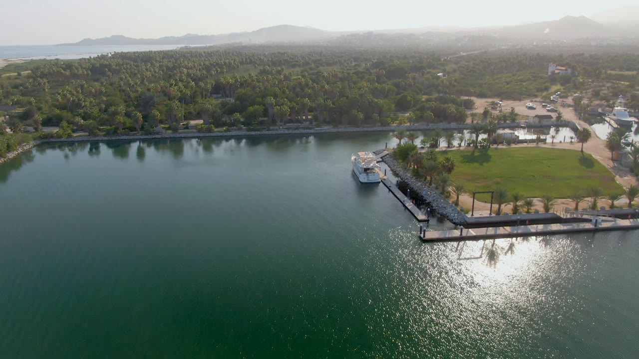 Sunlit aerial shoreline with reflective water, dock, boat, palms, and hills.