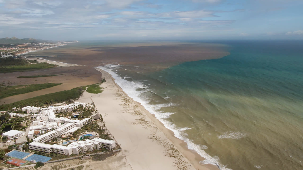 Aerial frame in San Jose del Cabo with the resort lower left, the beach stretching toward the horizon, small white surf lines, layered ocean color, and no visible people.