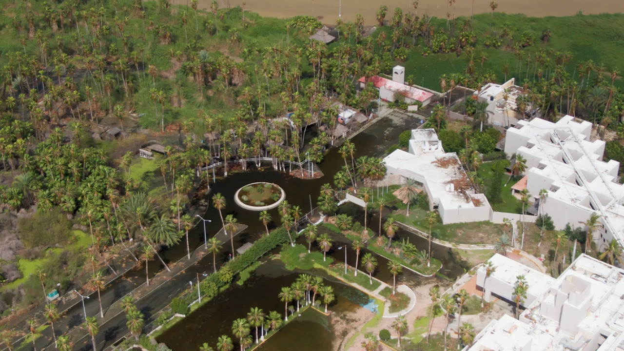 Overhead view in San Jose del Cabo showing dark park ponds, a circular fountain feature, palm-lined paths, white buildings, and dense trees, with no visible people.